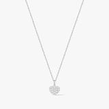 KOMPLET BLASK CZUŁOŚCI