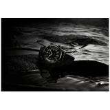 LONGINES LEGEND DIVER