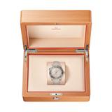 ZEGAREK OMEGA SEAMASTER PLANET OCEAN 600M