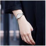 Tissot Le Locle Automatic 29mm