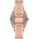 ZEGAREK FOSSIL SCARLETTE