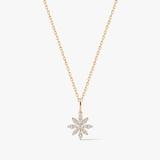 KOMPLET MAGICZNE LILIE