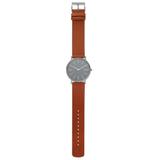 ZEGAREK SKAGEN SIGNATUR TITANIUM