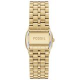 ZEGAREK FOSSIL HARLOW