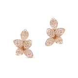 Kolczyki złote Pasquale Bruni