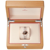 ZEGAREK OMEGA SEAMASTER AQUA TERRA 150M