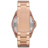 ZEGAREK FOSSIL RILEY