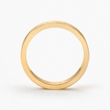 Pierścionek srebrny Freedom Elements