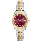 ZEGAREK FOSSIL SCARLETTE