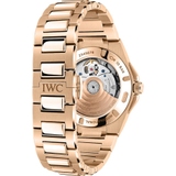 ZEGAREK IWC SCHAFFHAUSEN INGENIEUR AUTOMATIC 35