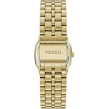 ZEGAREK FOSSIL HARLOW