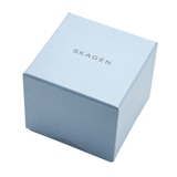 ZEGAREK SKAGEN Classic