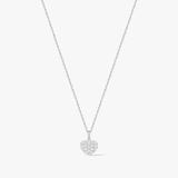 KOMPLET BLASK CZUŁOŚCI