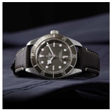TUDOR BLACK BAY 58 925