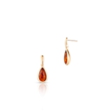 Kolczyki złote z bursztynem