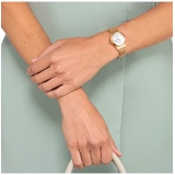 ZEGAREK CITIZEN ELEGANCE CRYSTALS