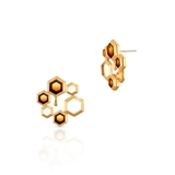 Kolczyki srebrne z bursztynem Miodowa