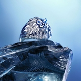 Sygnet z lwem Baśniowa