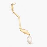 Monokolczyk srebrny Follow