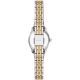 ZEGAREK FOSSIL SCARLETTE MINI