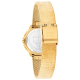 ZEGAREK TOMMY HILFIGER DEMI