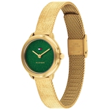 ZEGAREK TOMMY HILFIGER DEMI