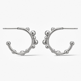 Kolczyki PEŁNIA NOSOWSKA x W.KRUK