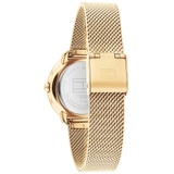 ZEGAREK TOMMY HILFIGER DEMI