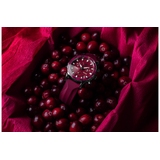 ZEGAREK VOSTOK EUROPE UNDINE CRANBERRY CHRONO