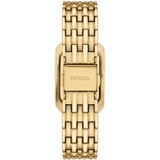 ZEGAREK FOSSIL RAQUEL