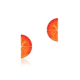 Kolczyki srebrne Kwiaty Nocy Cytrusy