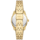 ZEGAREK FOSSIL SCARLETTE