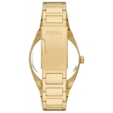 ZEGAREK FOSSIL EVERETT