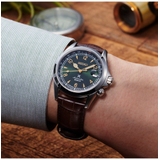 ZEGAREK SEIKO PROSPEX LAND AUTOMATIC