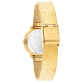 ZEGAREK TOMMY HILFIGER DEMI