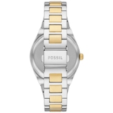 ZEGAREK FOSSIL SCARLETTE