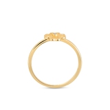 Pierścionek srebrny pozłacany