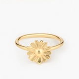 Pierścionek srebrny Follow