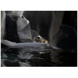 LONGINES HYDROCONQUEST