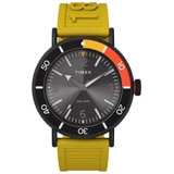 ZEGAREK TIMEX Standard