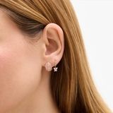 Monokolczyk złoty Lollipop