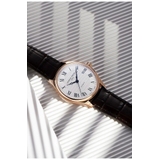 ZEGAREK FREDERIQUE CONSTANT CLASSICS INDEX AUTOMATIC