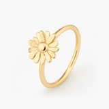 Pierścionek srebrny Follow