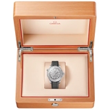 ZEGAREK OMEGA SEAMASTER DIVER 300M