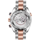 ZEGAREK OMEGA SEAMASTER PLANET OCEAN 600M