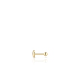 Monokolczyk srebrny pozłacany serce