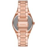 ZEGAREK FOSSIL SCARLETTE