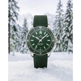 ZEGAREK NORQAIN ADVENTURE