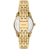 ZEGAREK FOSSIL SCARLETTE