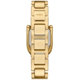 ZEGAREK FOSSIL HARWELL